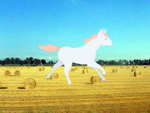 Unicorn Running