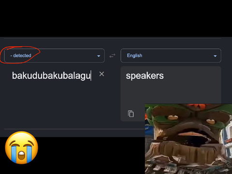 what language is this bro