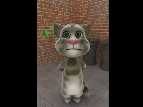 2010 TALKING TOM RECREATION