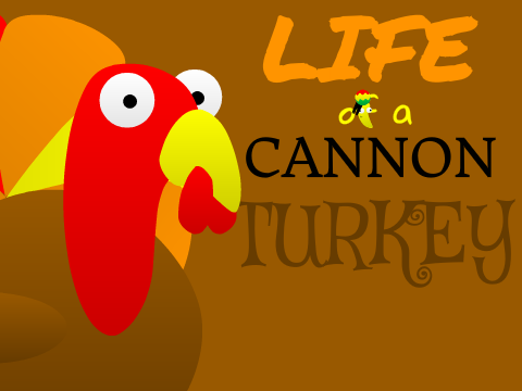 Life of a Cannon Turkey