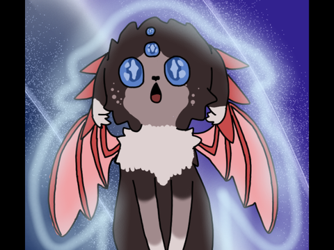 Starbound Spirits - Kittypet Group Interest Check