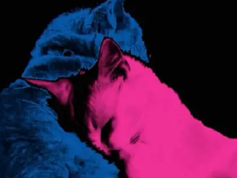 ɢɪʀʟ