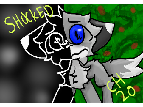 Shocked ch.20 TN ENTRY
