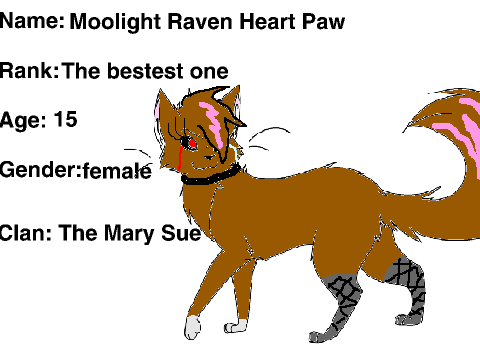 warrior cat oc Creator  remix