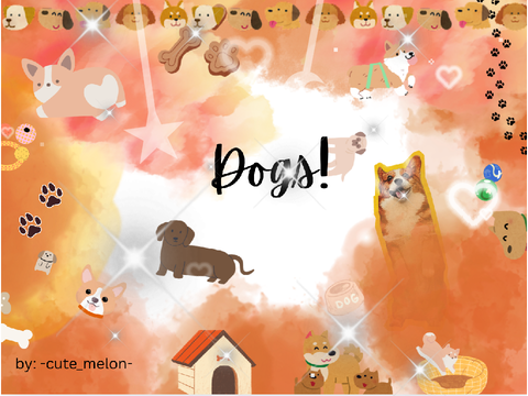 my banner (dogs)
