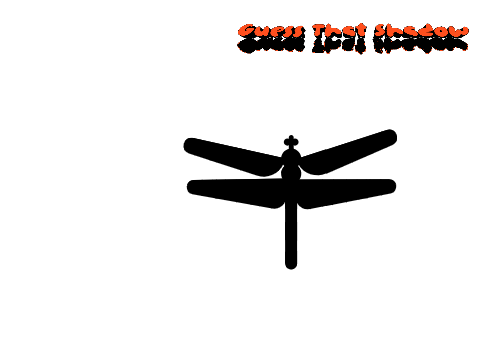 Guess that Shadow #game