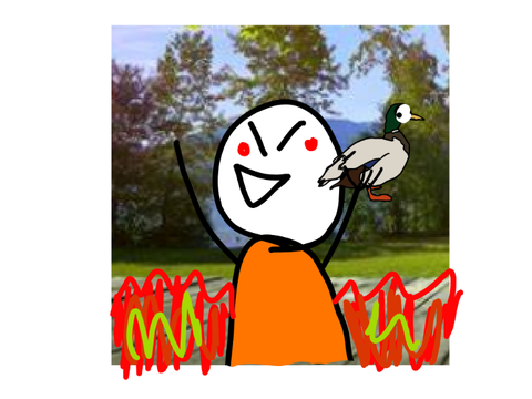  FireTornadoStorm stole my duck I never talk about again