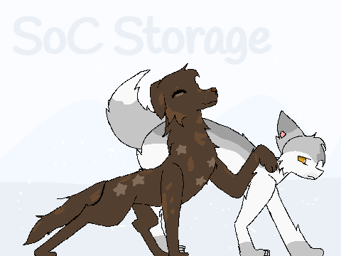 Soc storage 