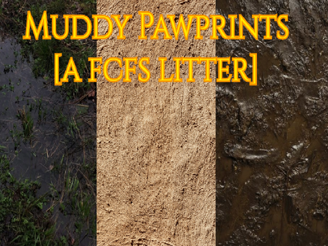 [Muddy pawprints - A FCFS litter]