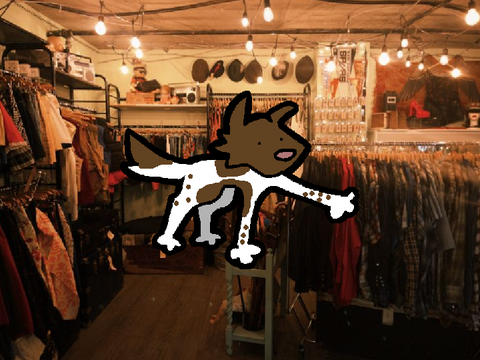 [Thrift Store - FCFS litter]