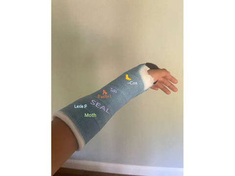 Virtually sign Cari’s cast!! remix remix remix remix remix remix