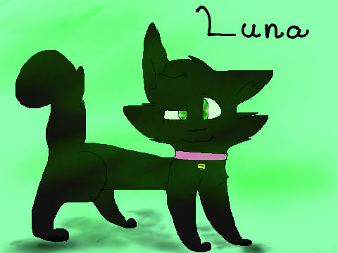Art for @pokeeveee1 