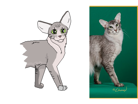 Semi-Realism Cat Practice
