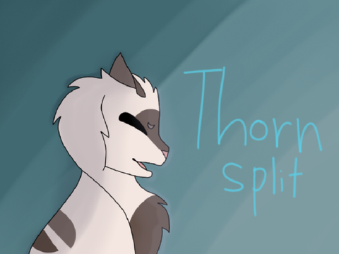 New OC (Thornsplit)