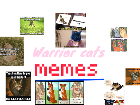 Warrior cats memes