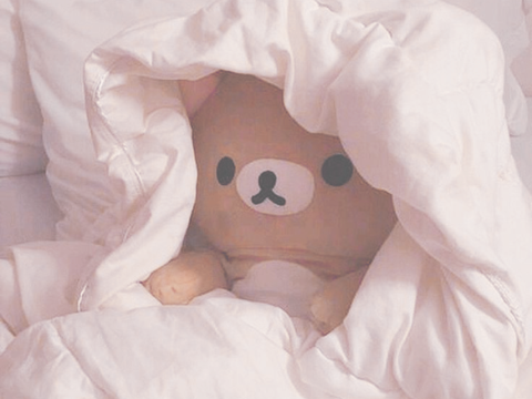 ~ ୨ৎ ~