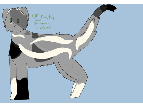 Kit request for Adrian!