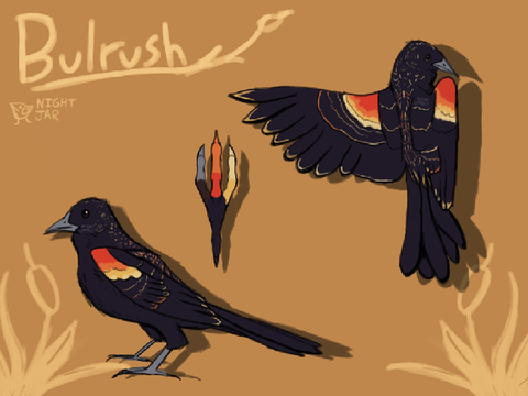 Bird 2 wow