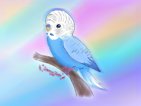 budgie art ☁️