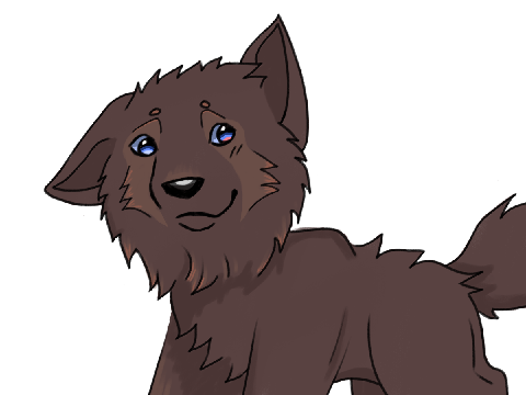 ~UPDATE!~