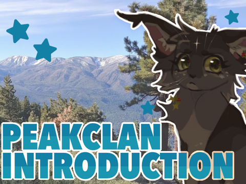✧ INTRODUCING PEAKCLAN