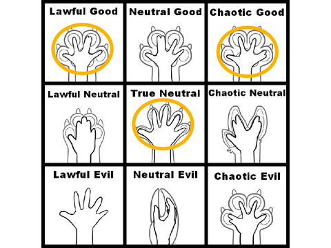 Paw placement stuff