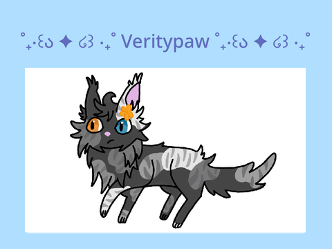 ꒰ა ✦ ໒꒱ veritypaw bio ꒰ა ✦ ໒꒱