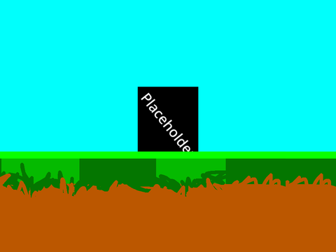 Dog Run 1