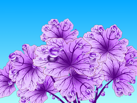 The coral bells
