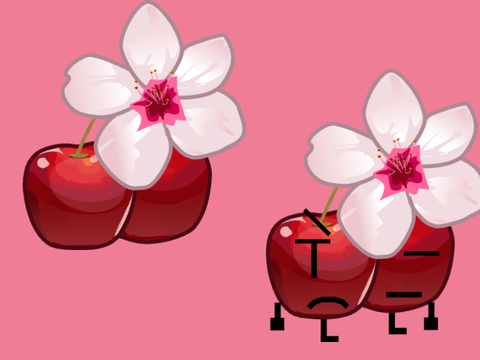 Cherry blossom 
