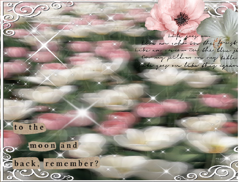  my entry x