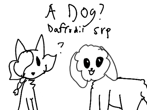 A Dog? Another Daffodil srp
