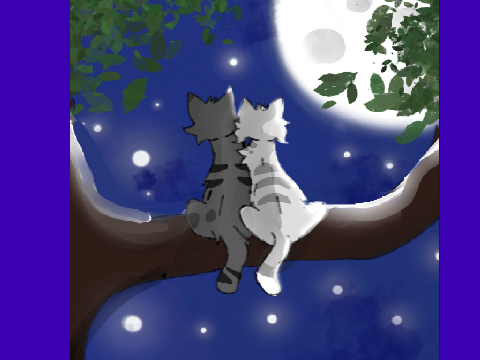 ✧ Starlight ✧