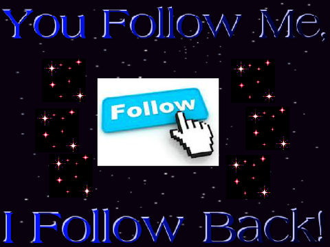 You Follow Me, I Follow Back!
