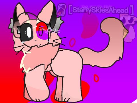 Payment for Comm