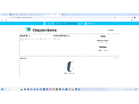My PenguinMod account! :D