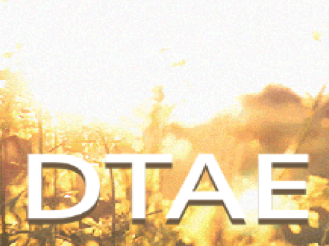 DTAE . I THOUGHT I SAW YOUR FACE TODAY