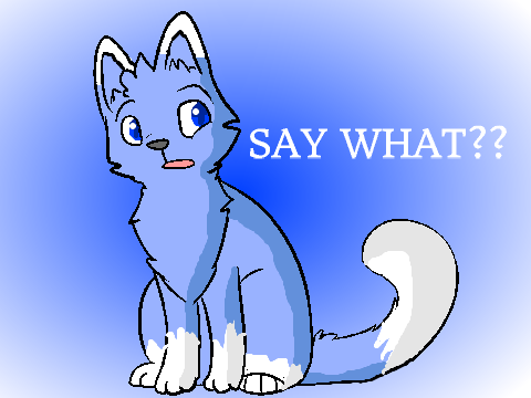 SAY WHAT? CC (open!) remix