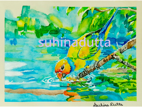 A Watercolour Bird Artwork