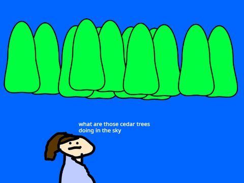 sky        cedar