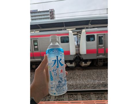 今年も来ましたねー水ゼリーの季節が