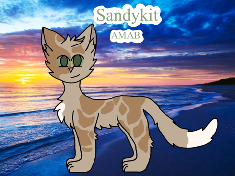 Sandykit application :)