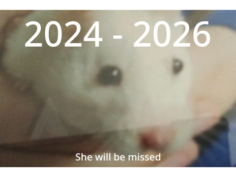 RIP Vanilla 