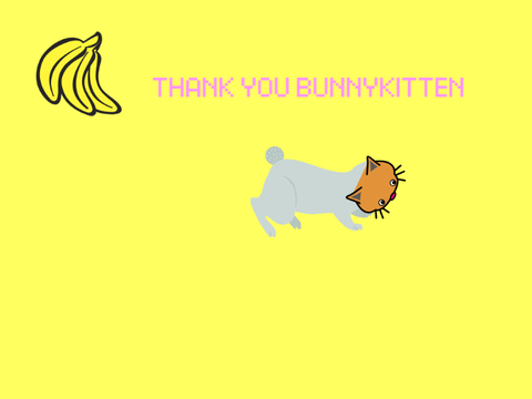 bunnykitten325's thanks!