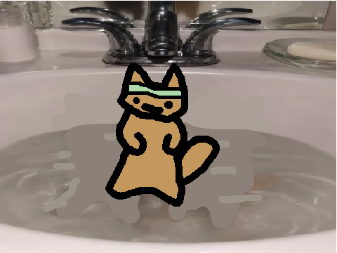 When you find a cat dancing in ur sink~