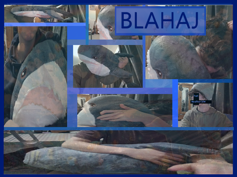 BLAHAJ