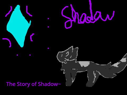 The story of Shadow