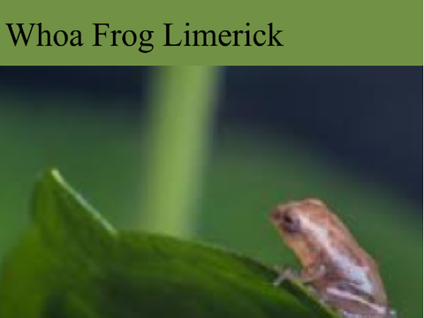 Whoa Frog Limerick