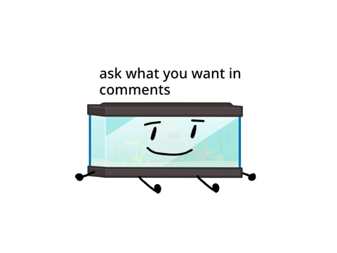 400 FOLLOWER QNA