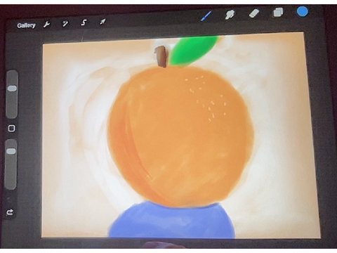 made an ornge on procreate :3